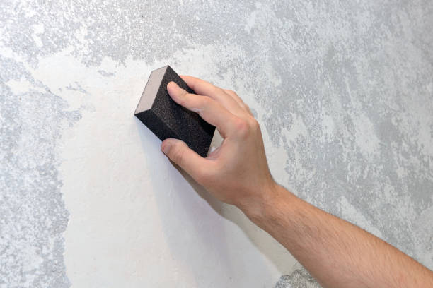 New Haven, CT Mold Removal Company